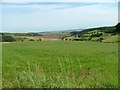 Farmland east of Colzie