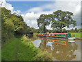 Moored opposite Brownhills Wood