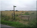 Farmland alongside Pickneybush Lane