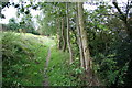 Path through the new housing estates