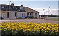 Flowerbed, Drybridge