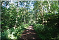 The Downs Link and Wey South Path