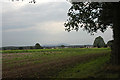 Flat farmland & the Wrekin