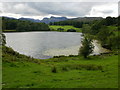 NY3404 : Loughrigg Tarn, view west by Peter S