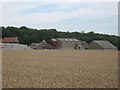 Buildings of Old Court Farm