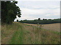 Bridleway to Ackholt Wood