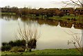 Goldsworth Park Lake in 1991