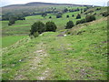 Footpath from Stalybridge towards Cocker Lane