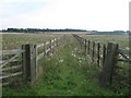 Unused bridleway to Westmore House