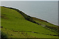 Fields above Cardigan Bay