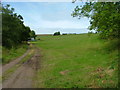 Farm track at Fordel