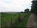 Bridleway towards Highland Court Farm and Bramling Road