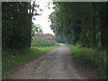 Bridleway to Highland Court Farm 