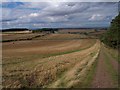 A view towards Blinkbonny farm