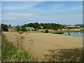 Berryhill farm and houses