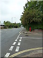 Postbox at the junction of Hurst Road and Hurst Avenue