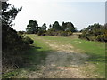 View from car park, Ashdown Forest