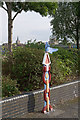 Millennium Milepost