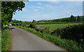 Country road near Graffham (4)