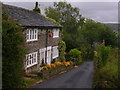 A splash of colour on a grey day