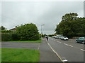 Early autumn in Church Road