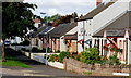 Lower Crescent, Comber