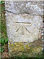 Bench Mark, St John the Baptists Church, Allington