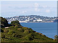 Torquay from Broadsands