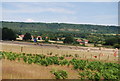 Hay bales near the M20