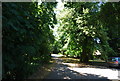 Footpath to St Margaret Church