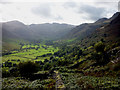 NY3006 : Great Langdale pastures by Karl and Ali