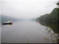 Misty Loch Eck shoreline at Allt na Blathaich