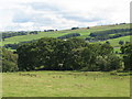 The valley of the River South Tyne east of Hardriding (2)