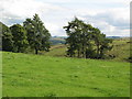 The cleugh of Ramshaw Burn