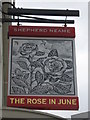 TR3571 : The Rose In June, Pub Sign, Margate by David Anstiss