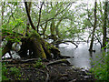 Daventry Reservoir