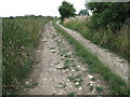 Byway to Upper Baggridge Farm