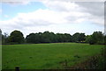 TQ4759 : Field by Main Rd, Knockholt by N Chadwick