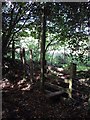 Footpath stile, Gypsy Lane, Nantgarw