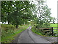 Country road in the Scottish Borders