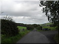 Country road passing Upper Tofts