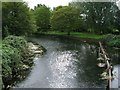 River Soar from Thurcaston Road footbridge