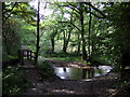 Ford over Afon Clydach near Fachongle