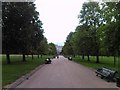 View of Palace Gardens Terrace from Broad Walk