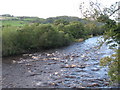 NY8564 : The River South Tyne east of Haydon Bridge (2) by Mike Quinn