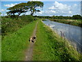 Lancaster Canal