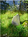 Memorial Stone