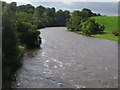 NY6963 : The River South Tyne by Mike Quinn