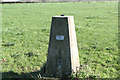 Four Marks - Trig Point