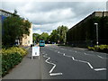 Road within the Stag Hill Campus